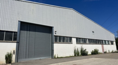 ACTIVITE 3550 m² (Div. 550 m² à louer(GEISPOLSHEIM 67118) : Photo