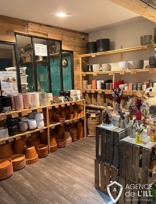 SélestatCentre ville proximité place d'armes : Photo 1