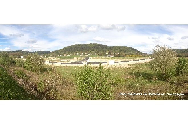 Terrain en vente à Joinville : Photo 1