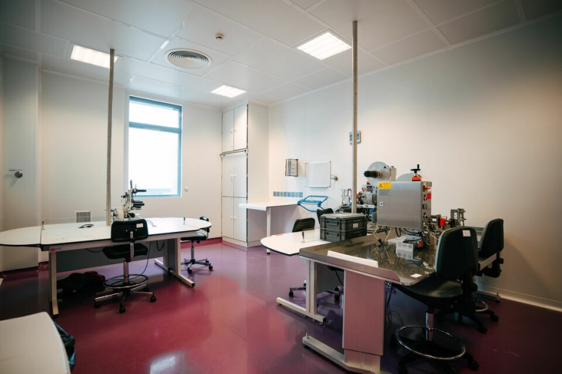 LOCAL D'ACTIVITE à VENDRE : Photo 2