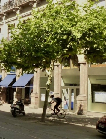 LOCAL COMMERCIAL à LOUER : Photo 1