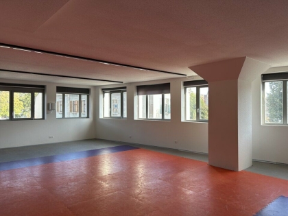 LOCAL COMMERCIAL à VENDRE : Photo 3