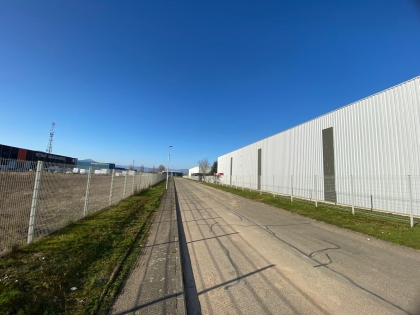 ZI Nord de Sélestat - Immeuble loué. : Photo 3