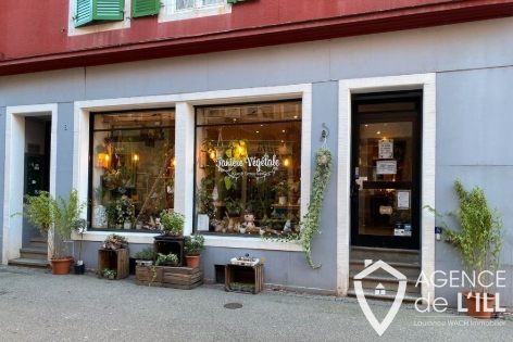 SélestatCentre ville proximité place d'armes : Photo 2