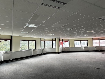 BUREAUX 627 m² (Div. 299 m² à vendre (ILLKIRCH GRAFFENSTADEN 674 : Photo 2