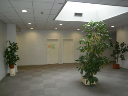 BUREAUX à LOUER : Photo 2