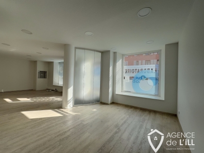 Immeuble 293m2 - Sélestat : Photo 2