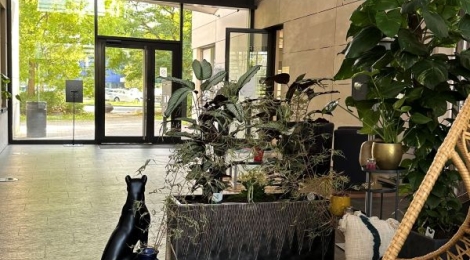 Centre d'affaires / Coworking - Obc : Photo